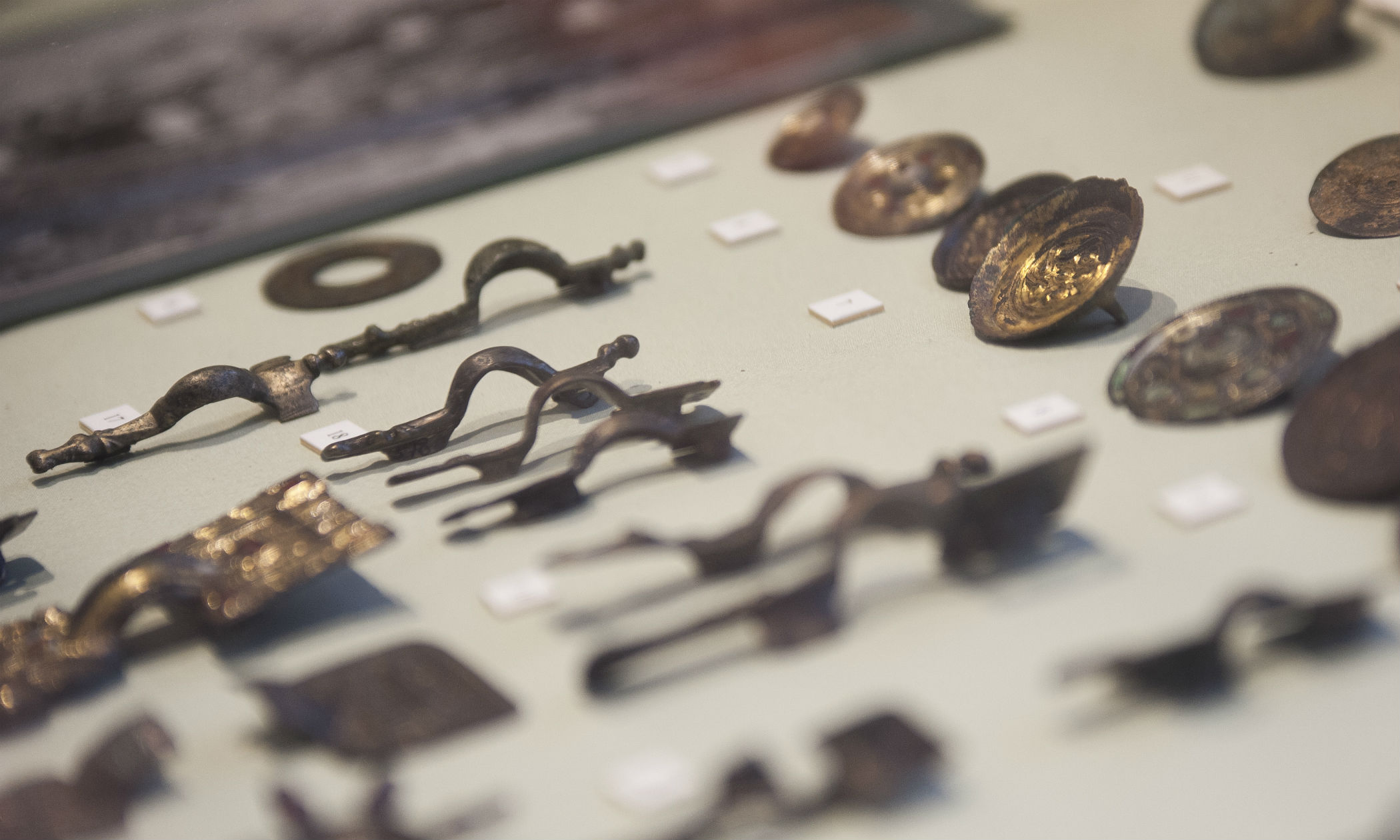 Maidstone Museum