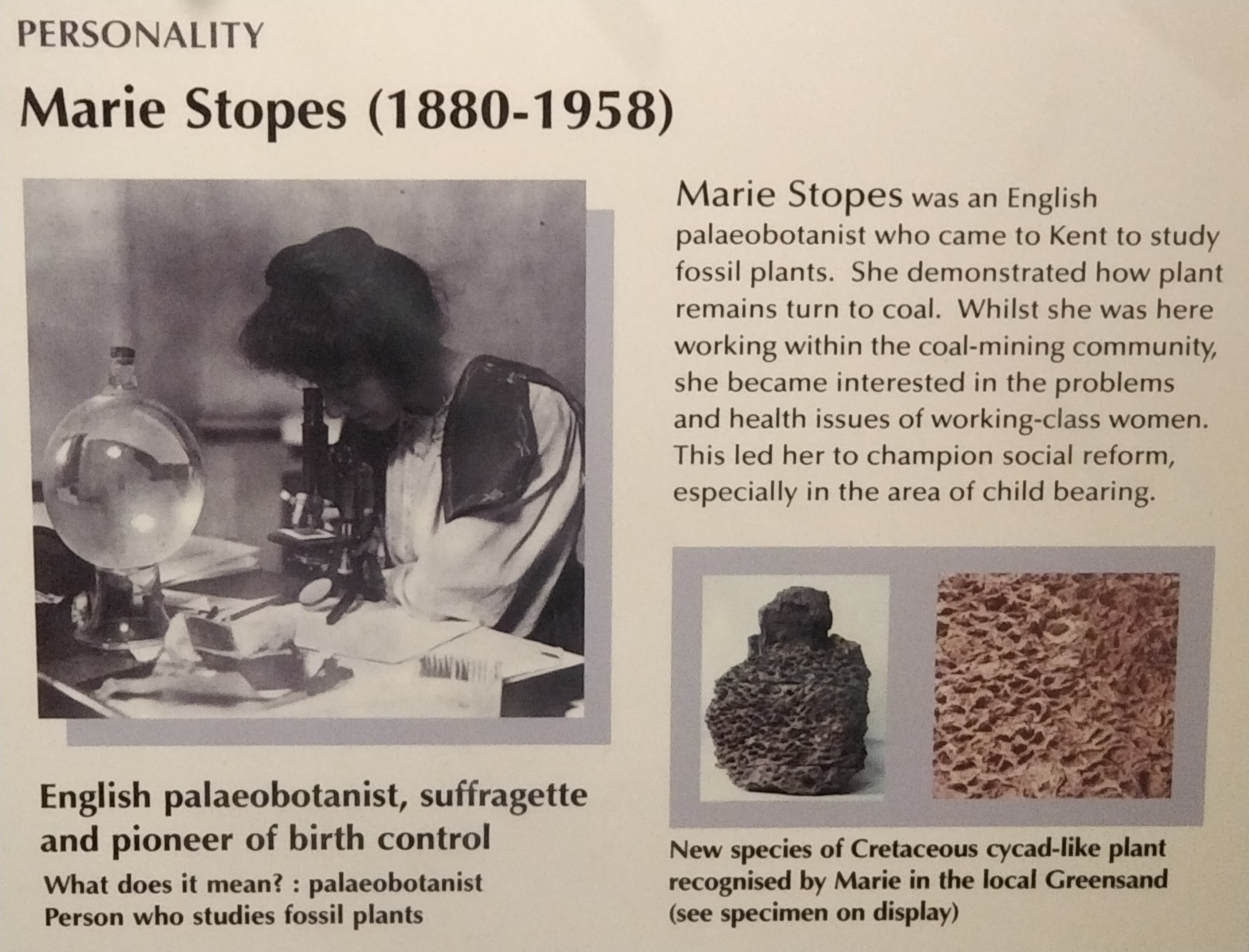 Marie Stopes 1880 -1958 | Maidstone Museum