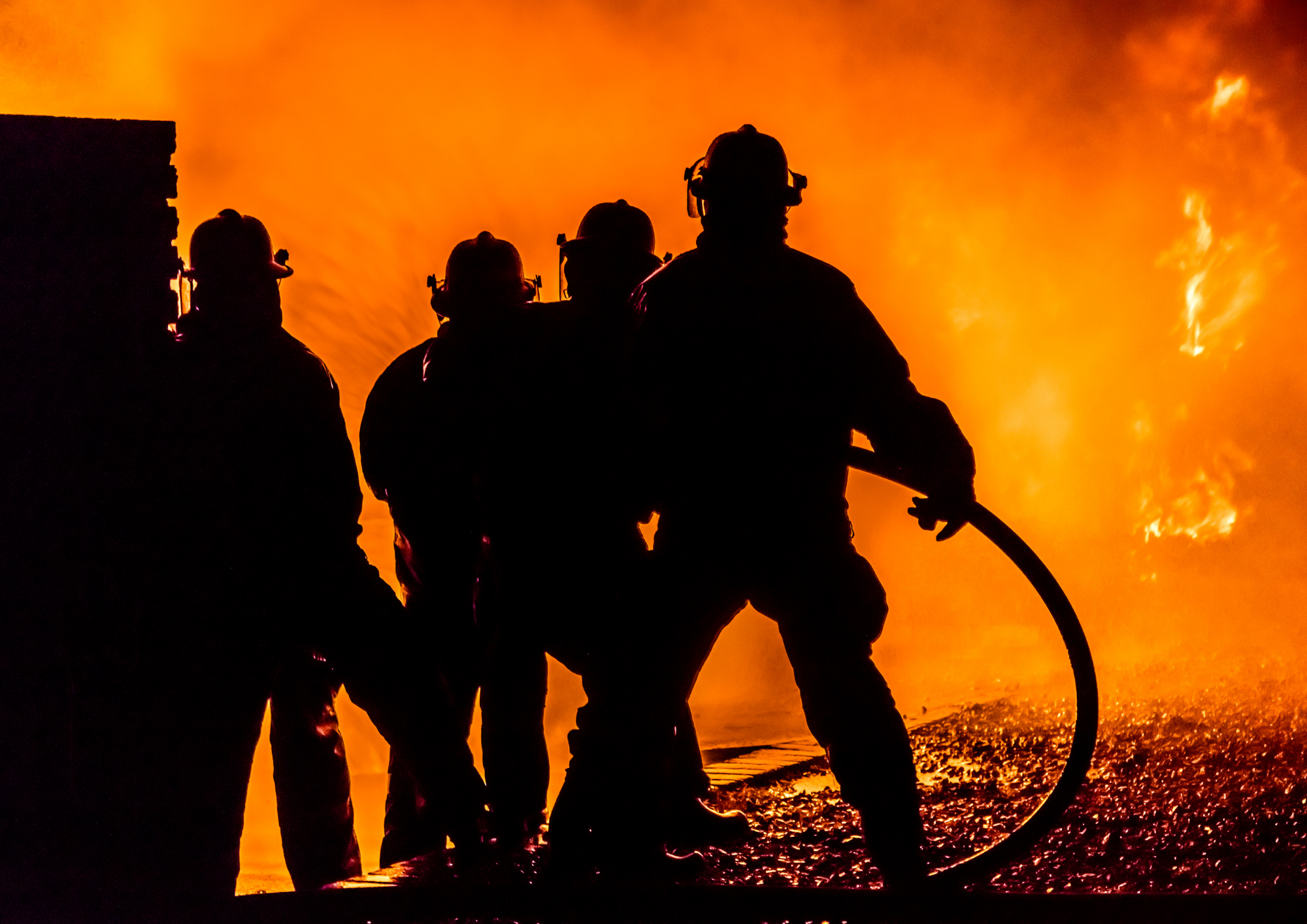 Maidstone Museum Movie Nights: The Princess Bride